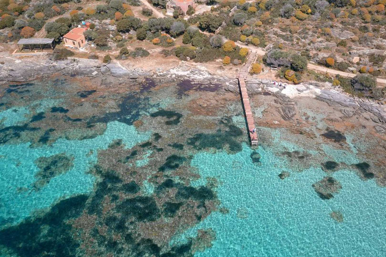 From Stintino: Asinara Sailboat Tour with Lunch Sailboat Tour and Lunch with 11 Seats