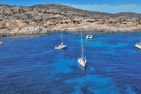 From Stintino: Asinara Sailboat Tour with Lunch Sailboat Tour and Lunch with 11 Seats