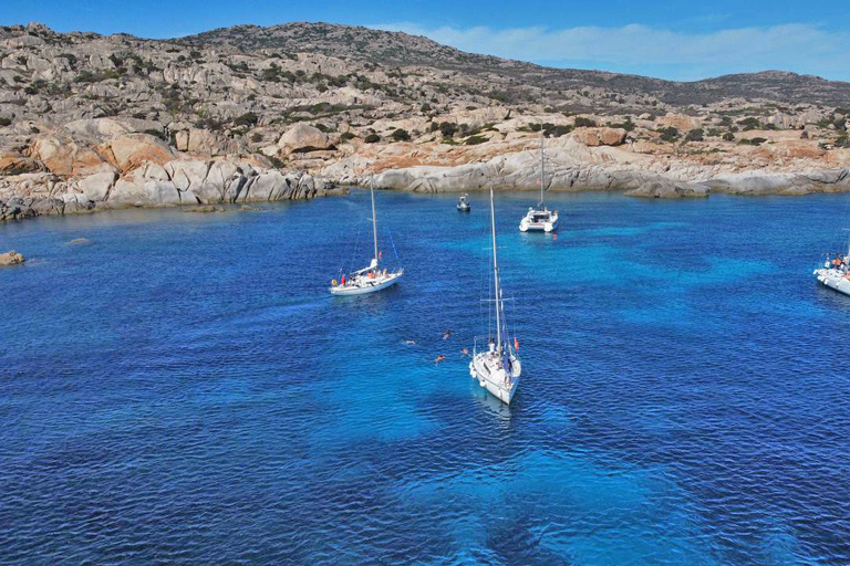From Stintino: Asinara Sailboat Tour with Lunch Sailboat Tour and Lunch with 11 Seats