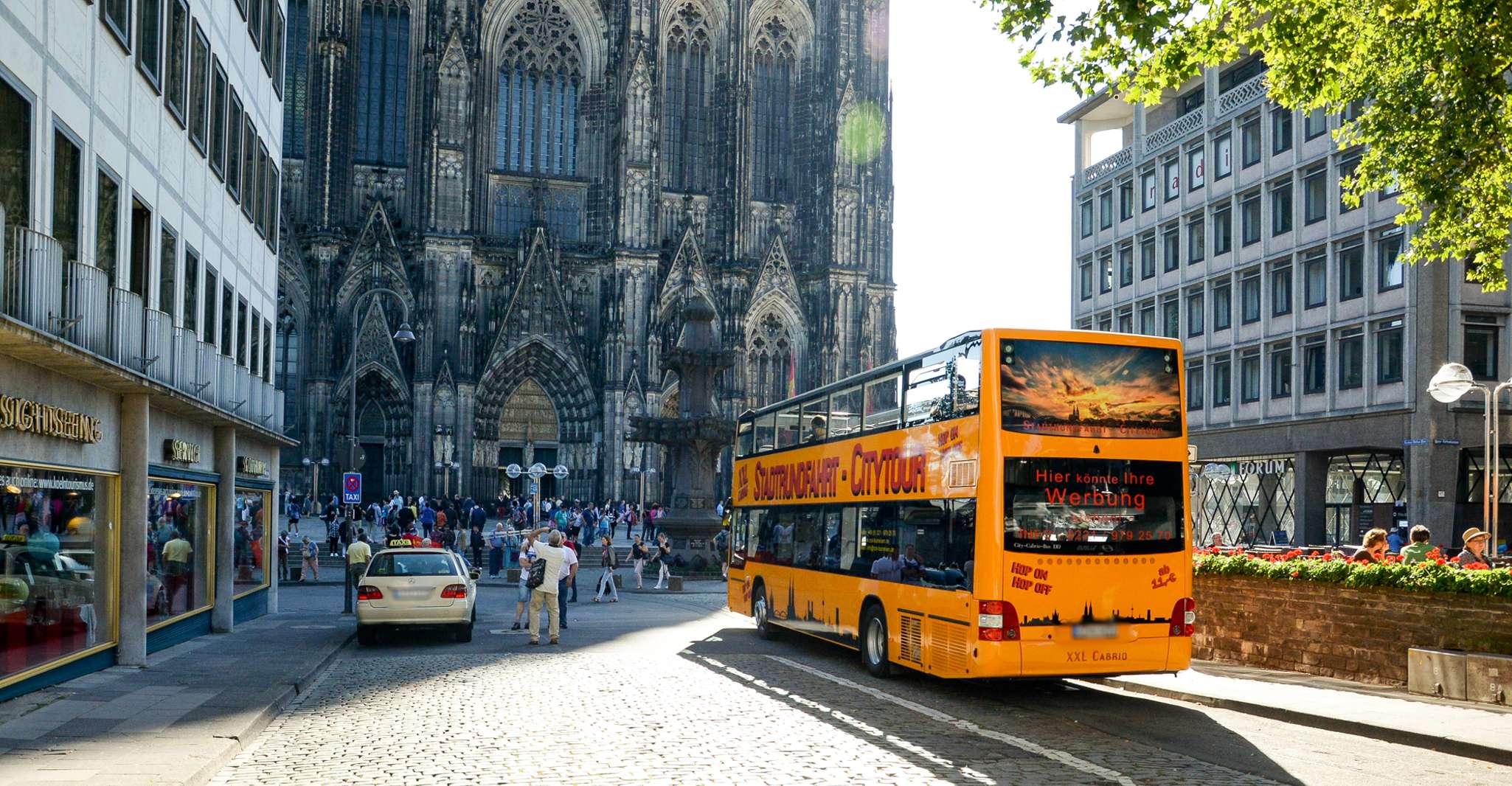 Cologne, 24h Hop-On Hop-Off Sightseeing Bus Ticket - Housity