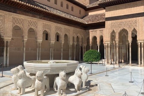 Granada: tour guiado de la Alhambra y ticketEntradas de última hora con visita guiada en francés