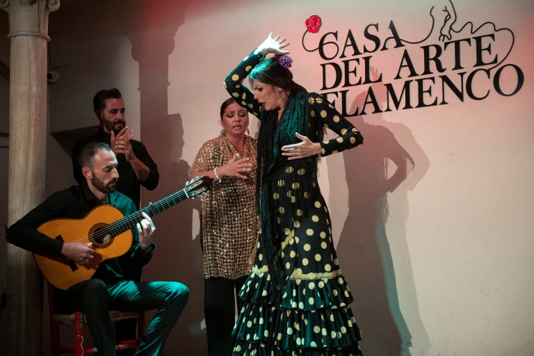 Granada: 1 Stunde traditionelle Flamenco-Show