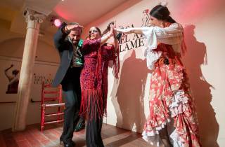 Granada: 1-stündige traditionelle Flamenco-Show