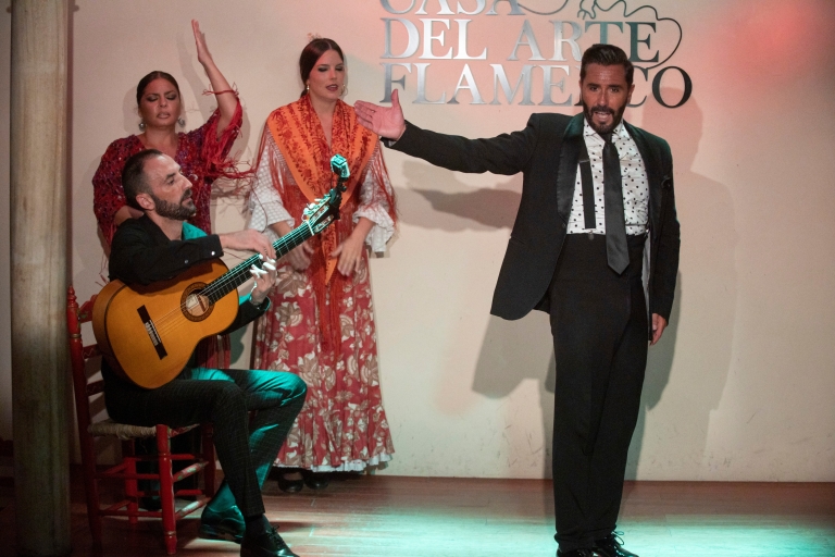 Granada: espectáculo de flamenco tradicional de 1 hora