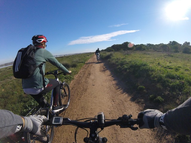 Visit Torrevieja Natural Parks e-Bike Tour in Los Alcázares
