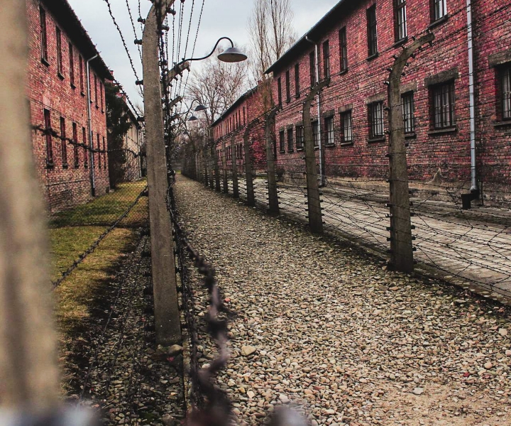 Krakow: Auschwitz-Birkenau Guided Tour with Transportation