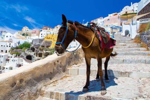 Santorini: Itseopastettu autokierros tietokilpailu
