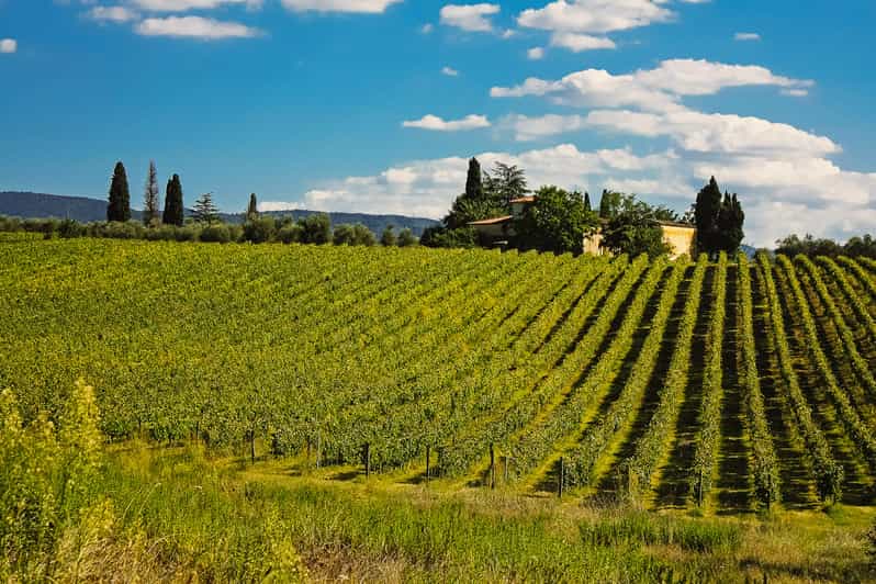 Von Florenz aus San Gimignano und Chianti Private Tour GetYourGuide