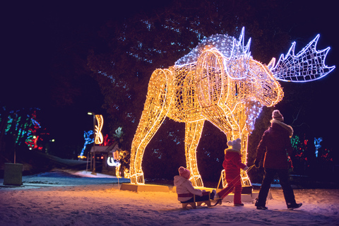 Niagara Falls: Guided Festival of Lights Tour Niagara Falls: Private Festival of Lights Tour with a Guide