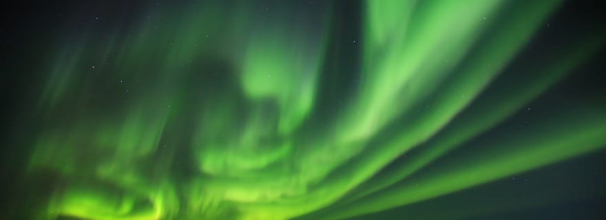 Da Yellowknife: Tour in autobus dell'aurora boreale con foto