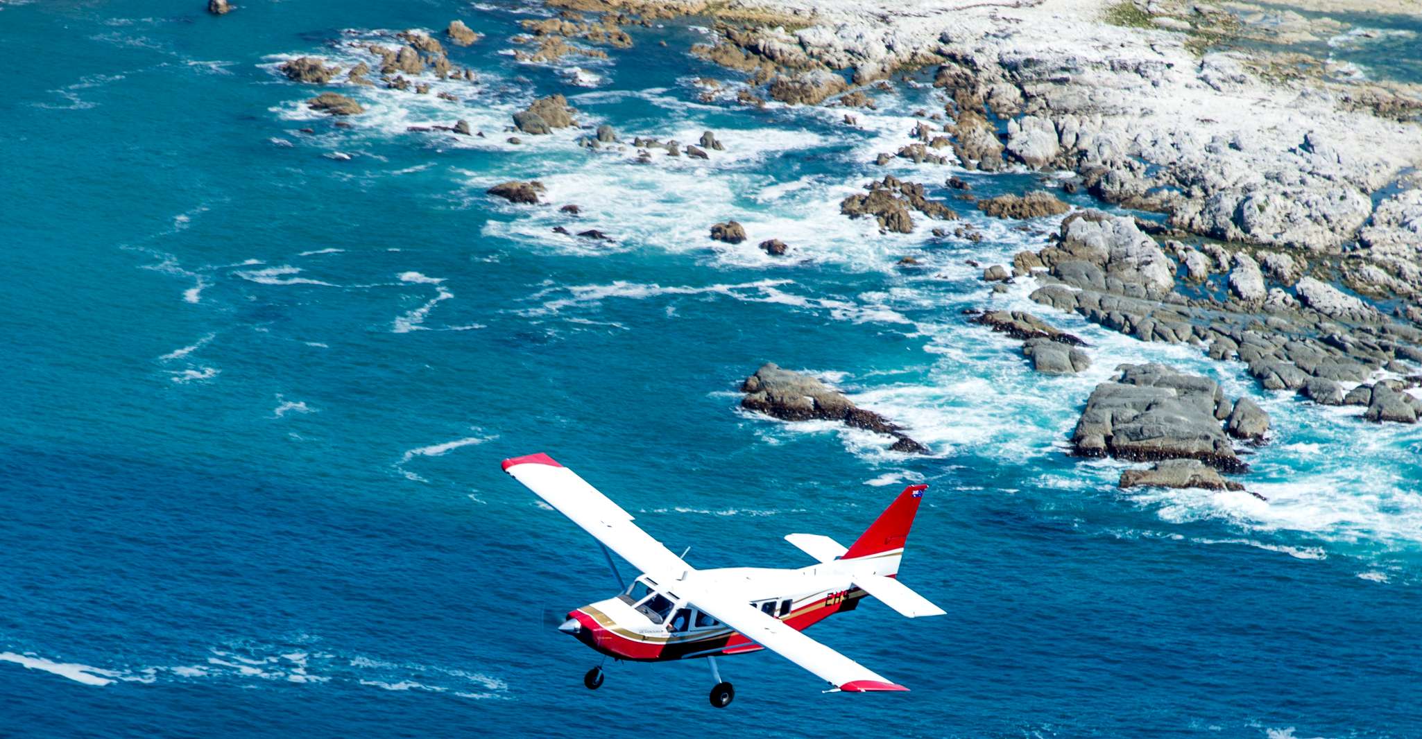 Kaikoura, 40-Minute Whale Watching Flight with Commentary - Housity