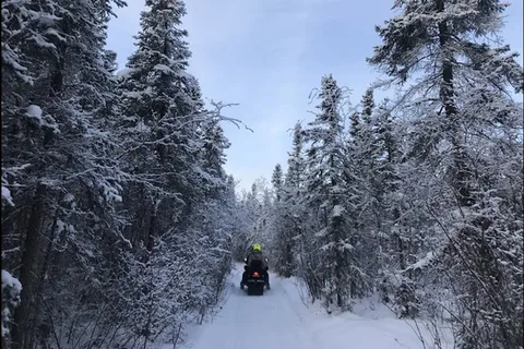 Yellowknife: tour in motoslitta nel backcountry con abbigliamento invernale