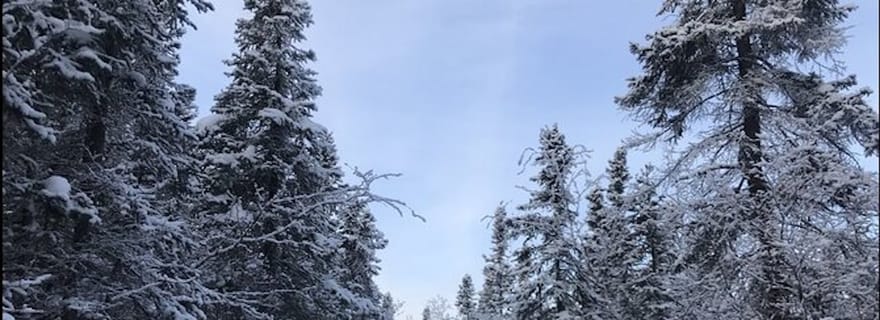 Yellowknife : Excursion en motoneige dans l'arrière-pays avec des équipements d'hiver