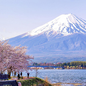 From Tokyo: Mt Fuji 5th Sta. Oshino Hakkai & Onsen Day Tour