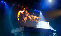 Niagara Falls, Canada, Evolution Magic Show Ticket - Housity