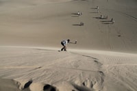 Aventura de Paracas, Buggy y Sandboard - Hizvo