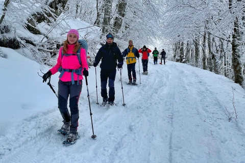 Sarajevo: Ervaar Snowsheing op de Olympic MountainsVan Sarajevo: Olympische berg Bjelašnica sneeuwschoentour