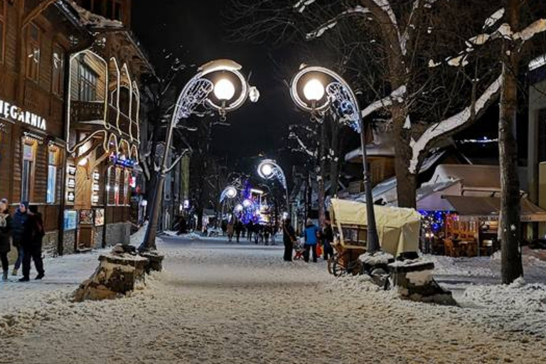 From Zakopane: Tatra Mountains with Hot Springs & Cable Car