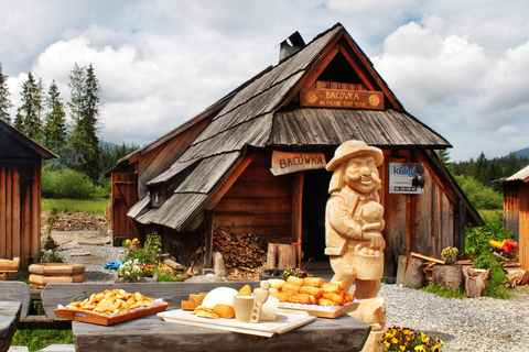Au départ de Zakopane : Montagnes Tatra avec sources thermales et téléphérique