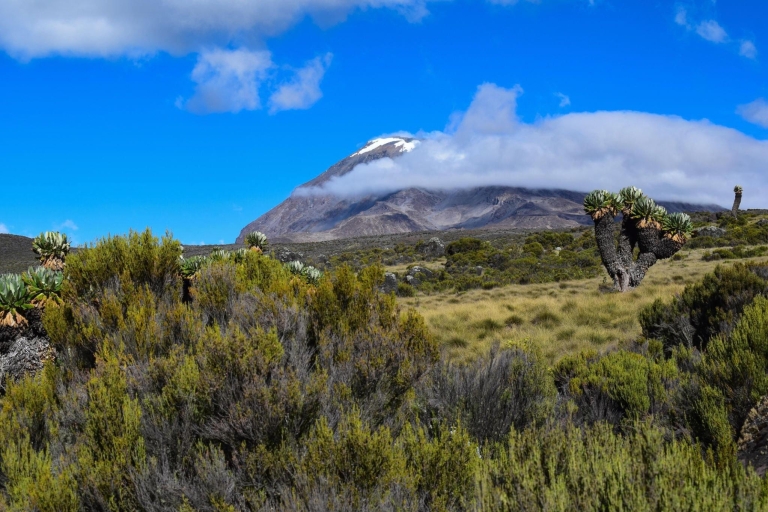 The best 8 days Kilimanjaro Climbing Lemosho Route