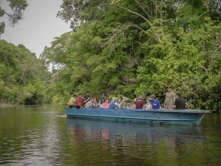 From Iquitos: 4-Day Guided Amazon Wildlife Exploration Tour