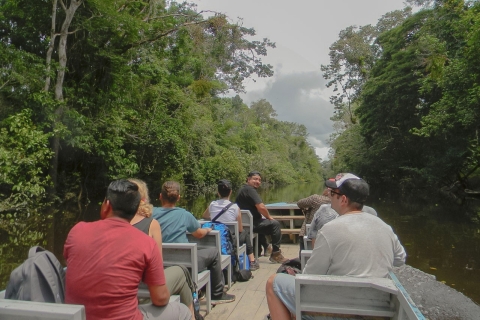 From Iquitos: 4-Day Guided Tour Amazon Wildlife Exploration