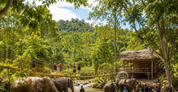 Chiang Mai: Elephant Care, ATV, Zipline & Waterfall Tour