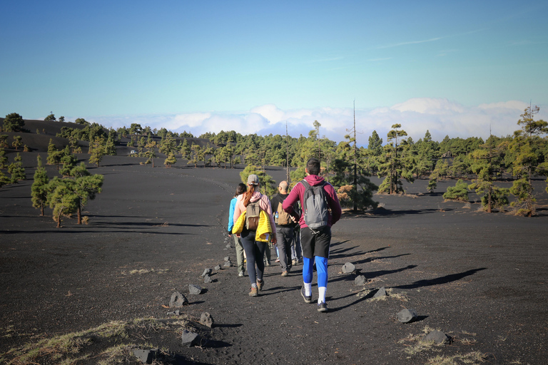 Tajogaite Volcano, the Essential Route: 3-Mile (5-Kilometer) Short Version