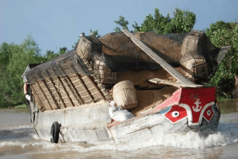 Ho Chi Minh City: tour di 2 giorni del Delta del Mekong e del mercato galleggiante