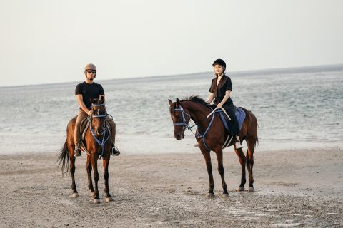 From Dubai: Sunset Horseback Riding Tour at Mangrove Beach
