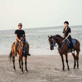 From Dubai: Umm Al Quwain Beach Horseback Riding at Sunset