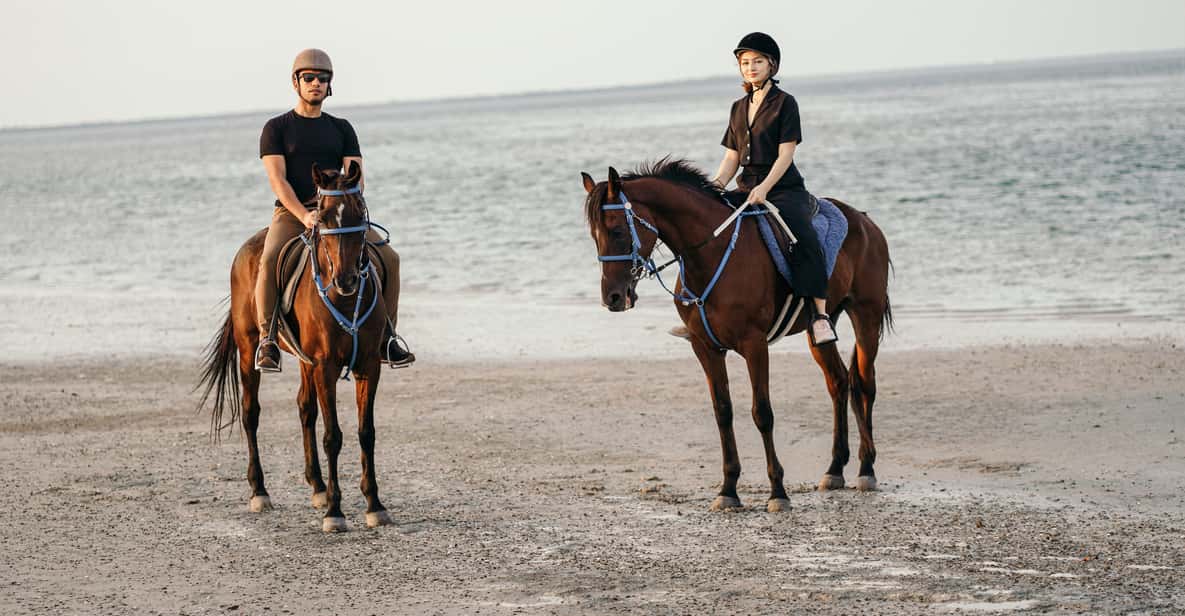 From Dubai Sunset Horseback Riding Tour at Mangrove Beach GetYourGuide