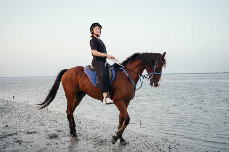 From Dubai Sunset Horseback Riding Tour at Mangrove Beach GetYourGuide