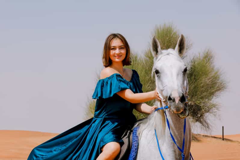 From Dubai Sunset Horseback Riding Tour at Mangrove Beach GetYourGuide
