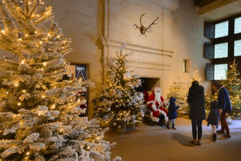 Chambord and Chenonceau: Christmas Loire Valley