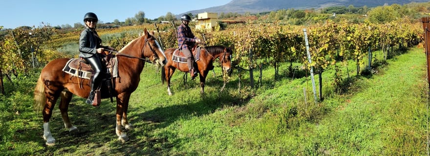 Pompéi, chevaux et déjeuner avec dégustation de vin