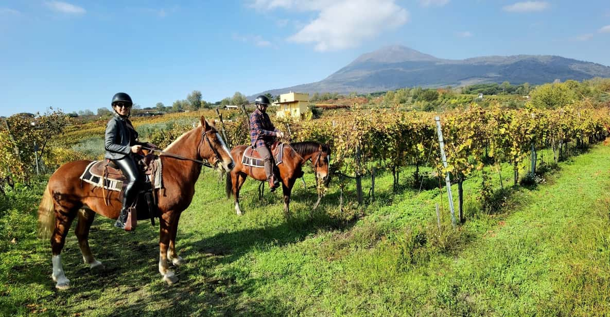 mt vesuvius horseback tour