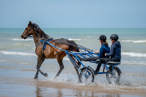 Omaha Beach: Sulky-Taufe am Strand