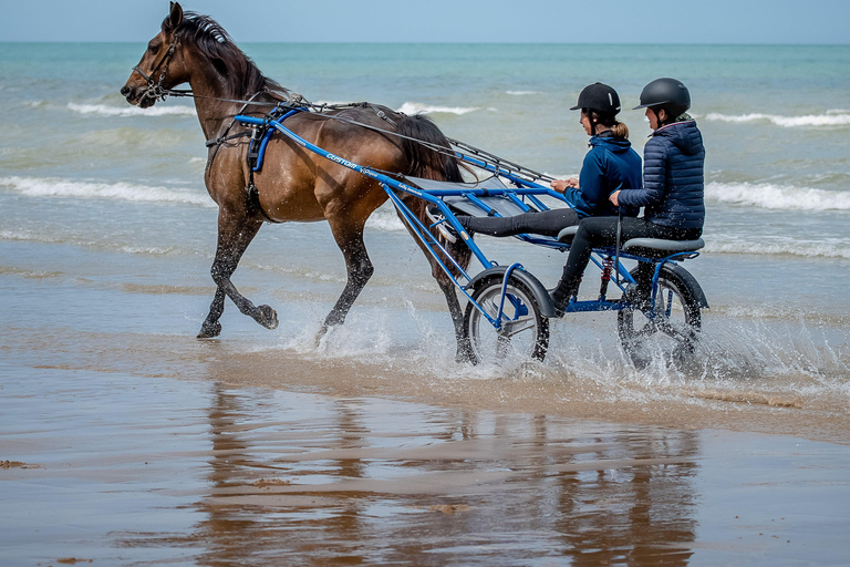 Omaha Beach : Baptême de Sulky sur la plage