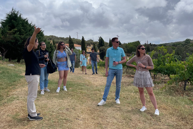 Vino e sughero dell'Alentejo da Évora