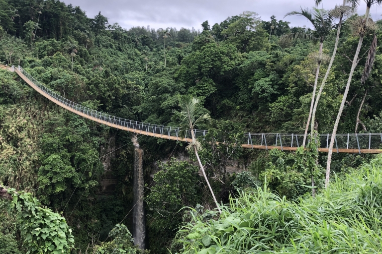 Port Vila: spacer po dżungli i wiszący most SkyBridge