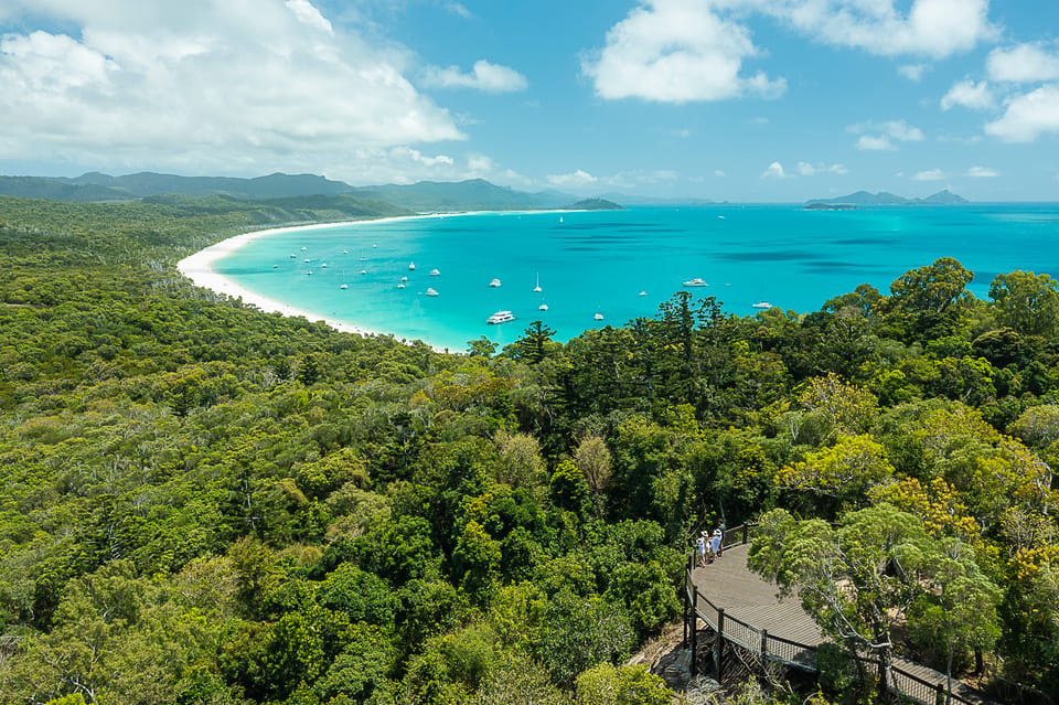 From Daydream Is.: Whitsundays & Whitehaven Half-Day Cruise | GetYourGuide