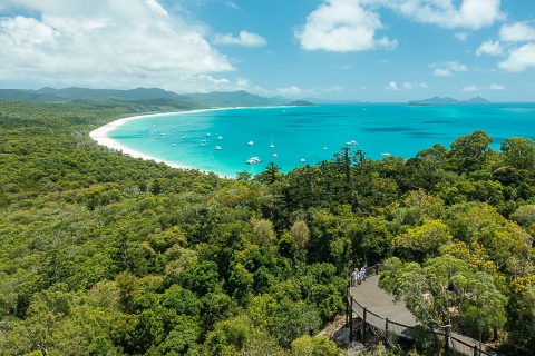 Daydream Island: 6-Hour Whitsunday and Whitehaven Cruise Afternoon Tour