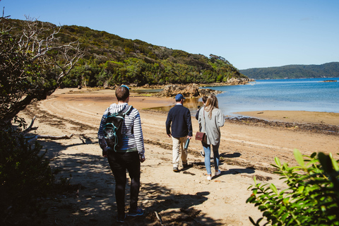 Van Queenstown: dagtocht naar Stewart Island per vliegtuig