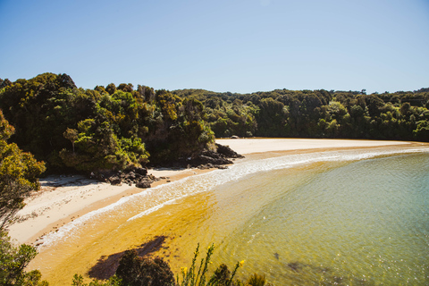 Da Queenstown: gita di un giorno a Stewart Island in aereo