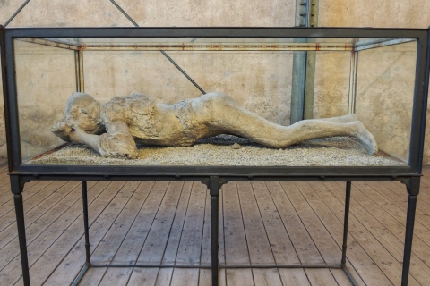 Pompeji und der Vesuv: Ganztägige private Tour