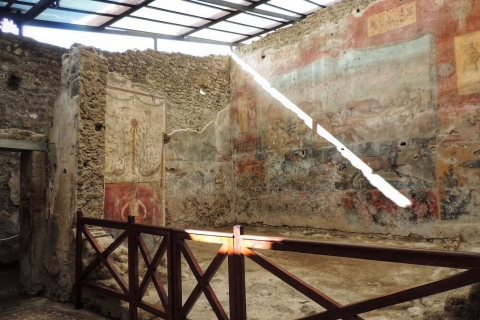 Pompeje i Wezuwiusz: całodniowa prywatna wycieczka