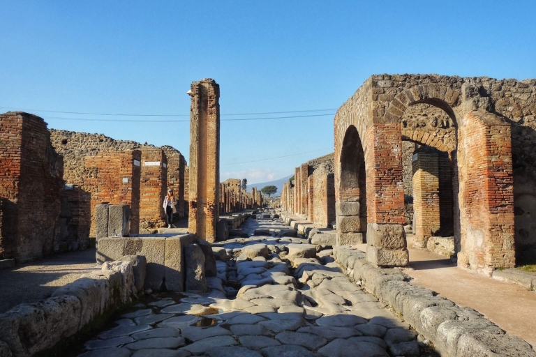 Pompéi et le mont Vésuve : visite privée d'une journée