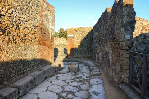 Pompeji und der Vesuv: Ganztägige private Tour