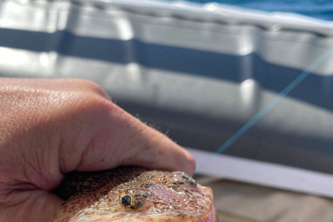 Santorini: passeio matinal privado de barco de pesca em alto mar